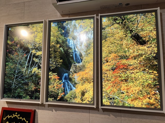 IMG20201026175510.jpeg
